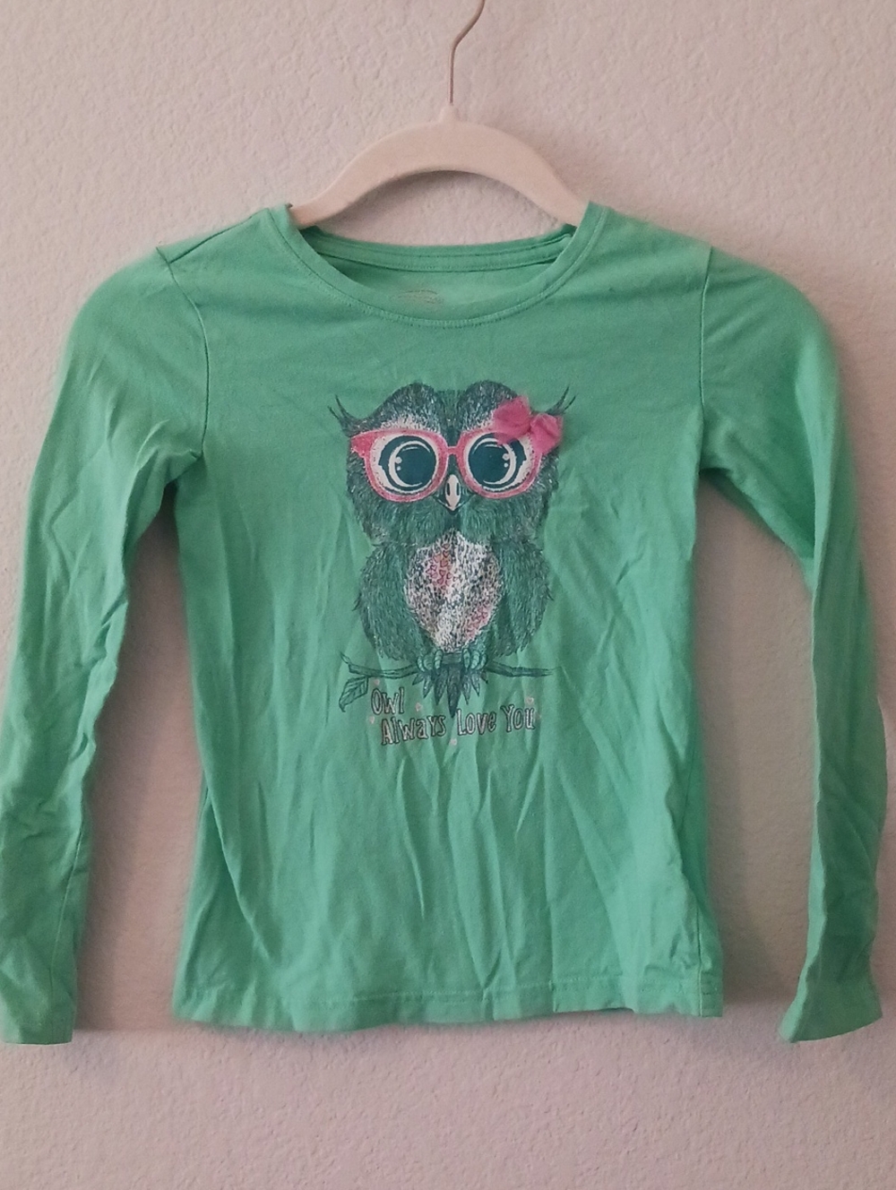 🔴10/$13❗️SALE❗️Faded Glory Mint Green Long-Sleeve Owl Tee with Pink Accents